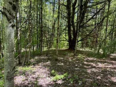 Upstate New York Camp or Camper Site - photo 10