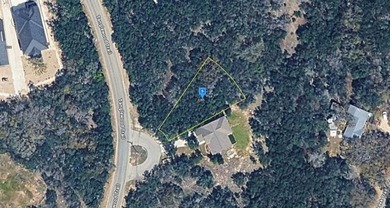 Lake Lot For Sale in Spring Branch, Texas