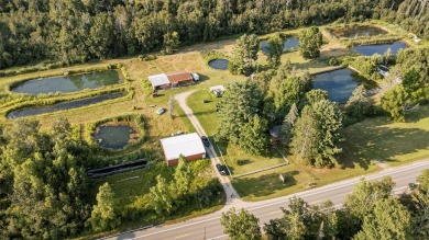 (private lake, pond, creek) Commercial For Sale in Harrison Michigan