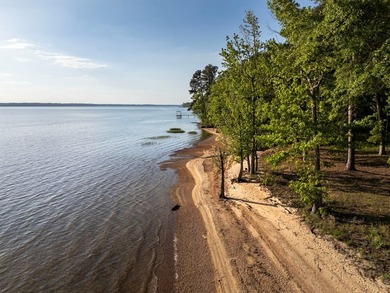 Experience refined lake living on Lake Eufaula/Walter F. George! - photo 6
