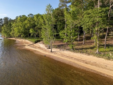 Experience refined lake living on Lake Eufaula/Walter F. George! - photo 7