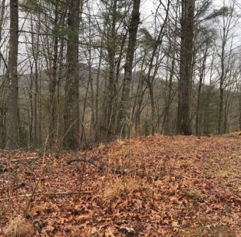 Bring your blueprints with you as you view this property and - Lake Lot For Sale in Robbinsville, North Carolina