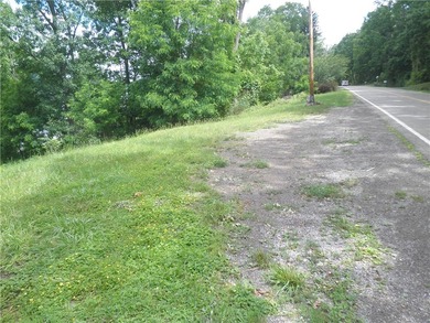 Unusual Find! An East Lake lot overlooking scenic Honeoye lake - photo 11