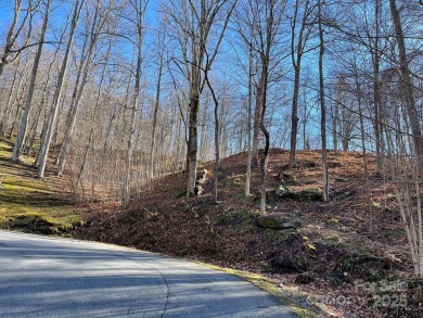 Discover the perfect blend of privacy, luxury, and natural - photo 2
