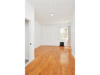 INVESTOR ALERT/High-Yield 5-Unit Asset in Prime Williamsburg - photo 7