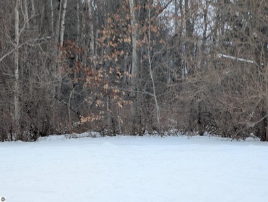 Lake Huron - Arenac County Acreage For Sale in Au Gres Michigan