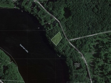 Lake Lot For Sale in Irons, Michigan