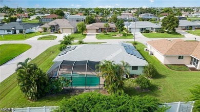Discover an exceptional opportunity to own a beautiful pool home - photo 3