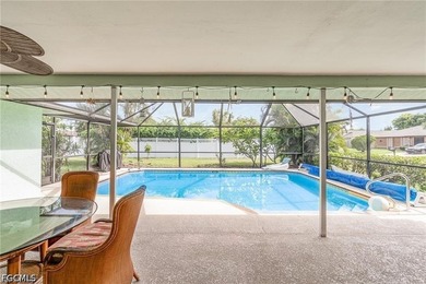 Discover an exceptional opportunity to own a beautiful pool home - photo 5