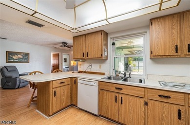 Discover an exceptional opportunity to own a beautiful pool home - photo 8