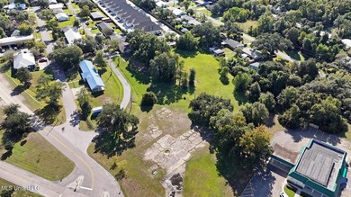 Exceptional opportunity to acquire five contiguous parcels - photo 5