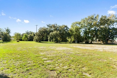 Exceptional opportunity to acquire five contiguous parcels - photo 10