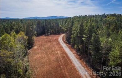 A truly rare offering along the Catawba River, this remarkable - photo 14