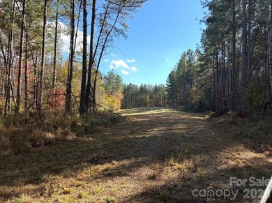 A truly rare offering along the Catawba River, this remarkable - photo 15