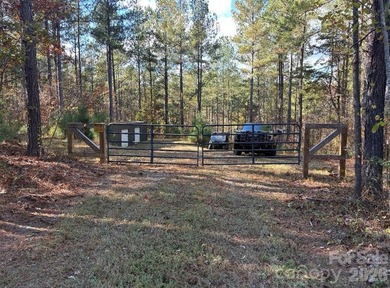A truly rare offering along the Catawba River, this remarkable - photo 16