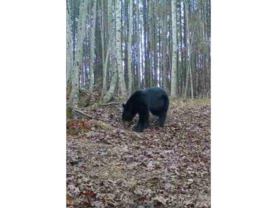 A truly rare offering along the Catawba River, this remarkable - photo 19