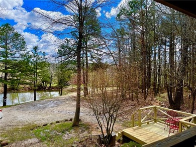 The Buffalo River Farmhouse is currently a successful nightly - photo 25
