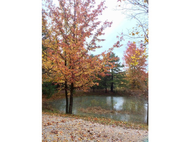 The Buffalo River Farmhouse is currently a successful nightly - photo 28