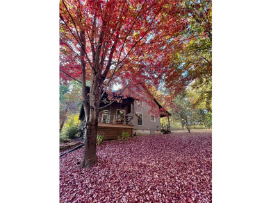 The Buffalo River Farmhouse is currently a successful nightly - photo 29