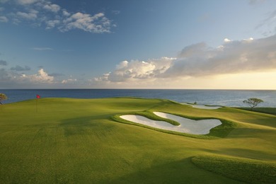 Homesite 13 is located on a cul de sac in the elevated Aepo Nei - photo 8