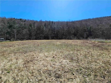 Hope Lake Lot For Sale in Cortland New York