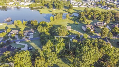 Build your dream home on this cleared, lake-view lot in the - photo 11