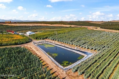 Exceptional Zillah Orchard This meticulously maintained 62-acre - photo 12