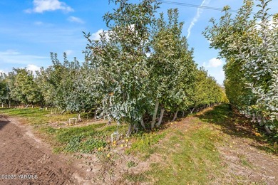 Exceptional Zillah Orchard This meticulously maintained 62-acre - photo 22