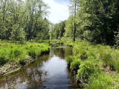 Upstate New York Camp or Camper Site - photo 7