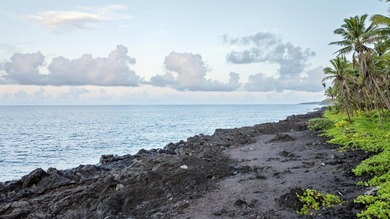 This is what legacy land looks like. Five and a quarter acres of - photo 6