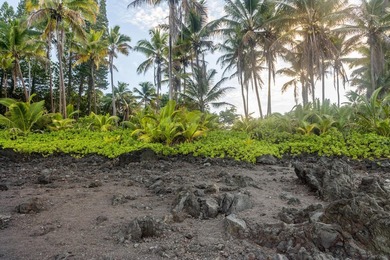 This is what legacy land looks like. Five and a quarter acres of - photo 9