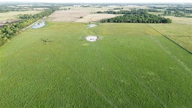 Nearly 64 acres of beautiful, cleared land-ready for livestock - photo 6