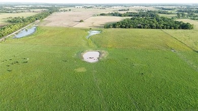 Nearly 64 acres of beautiful, cleared land-ready for livestock - photo 7