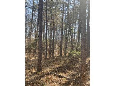 Lake Eddins Lot For Sale in Pachuta Mississippi