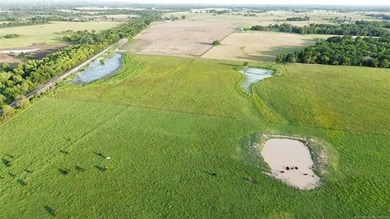 Nearly 64 acres of beautiful, cleared land-ready for livestock - photo 10