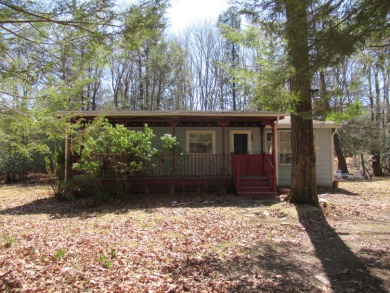 Lake Home For Sale in White Haven, Pennsylvania