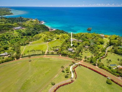 Perched above Kauai's most iconic stretches of North Shore - photo 1