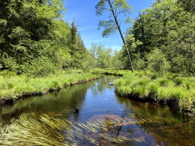 Upstate New York Camp or Camper Site - photo 1