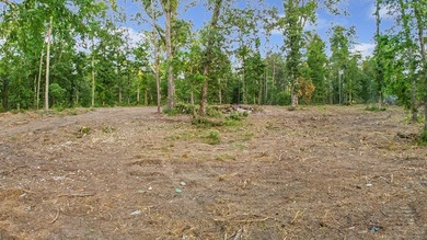 **Unicorn Paradise on Lake Sam Rayburn** Discover a rare gem - photo 11