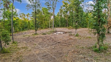 **Unicorn Paradise on Lake Sam Rayburn** Discover a rare gem - photo 12