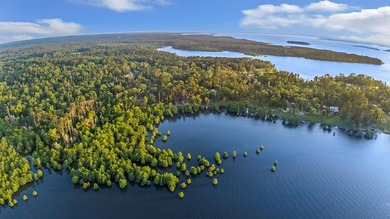 **Unicorn Paradise on Lake Sam Rayburn** Discover a rare gem - photo 14