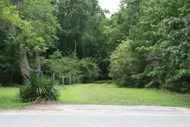 Lake Moultrie Acreage Active Under Contract in Moncks Corner South Carolina
