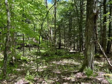 Upstate New York Camp or Camper Site - photo 11