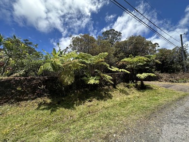 Great start in MT View, 8,000 sqft piece of vacant land - photo 3