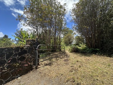 Great start in MT View, 8,000 sqft piece of vacant land - photo 4