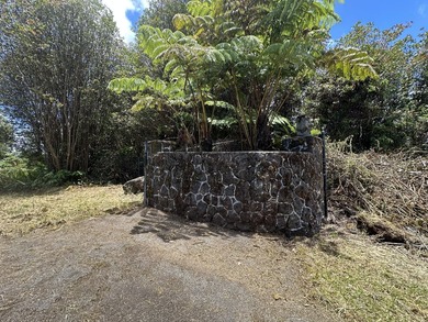 Great start in MT View, 8,000 sqft piece of vacant land - photo 8