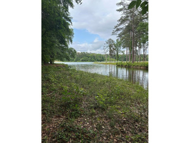 I'm excited to present this exceptional property on behalf of - photo 1