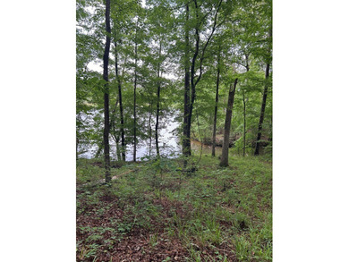 I'm excited to present this exceptional property on behalf of - photo 3
