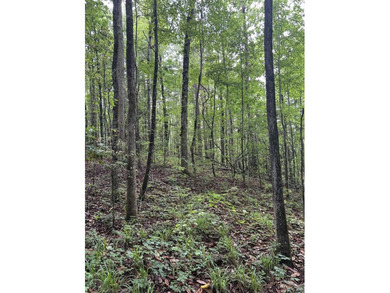 I'm excited to present this exceptional property on behalf of - photo 5