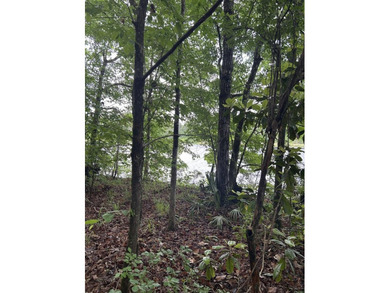 I'm excited to present this exceptional property on behalf of - photo 7